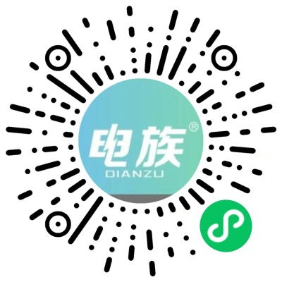 电族电池